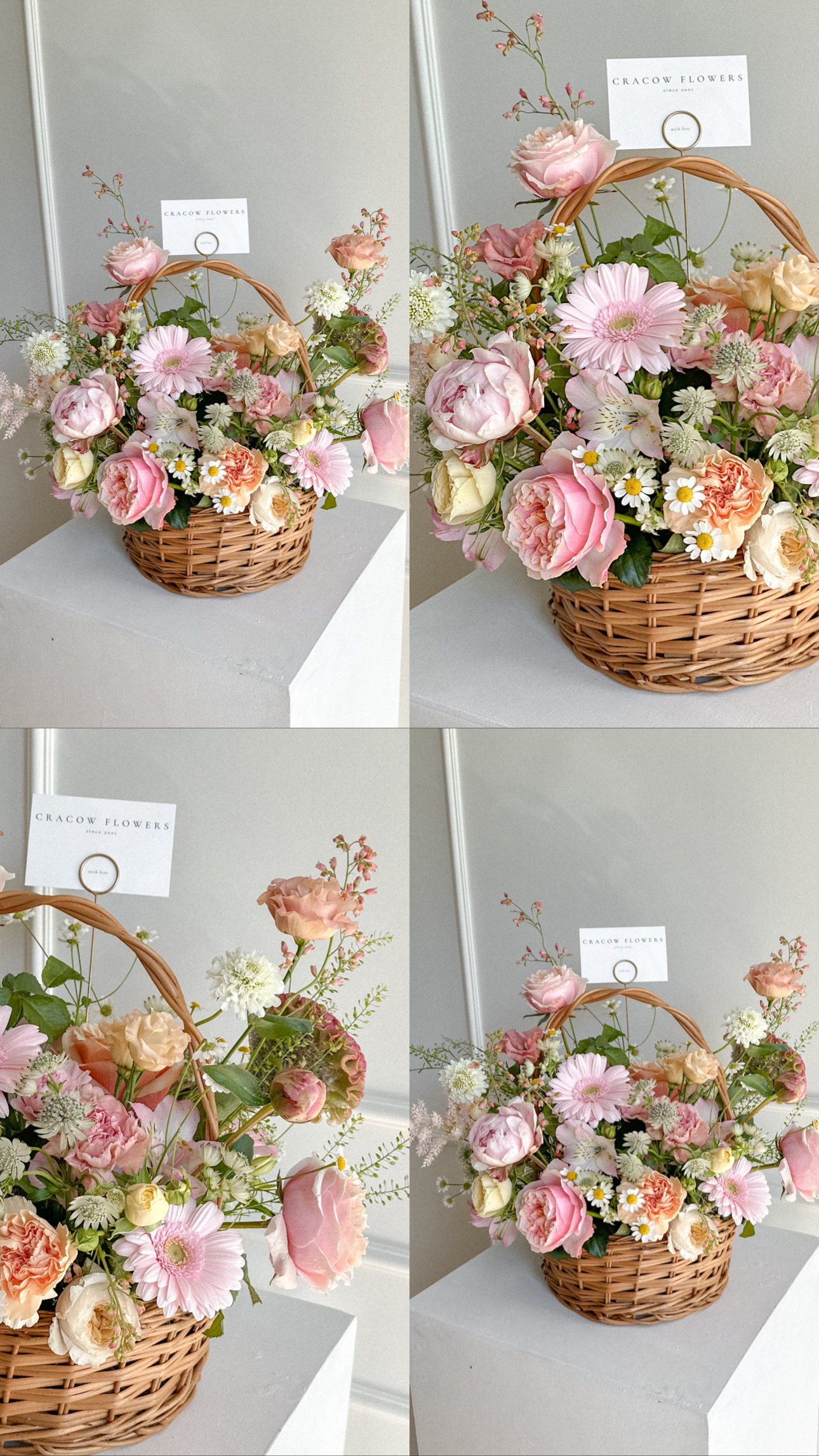 7D1C1D70-5582-428D-970B-95A6415B07D9